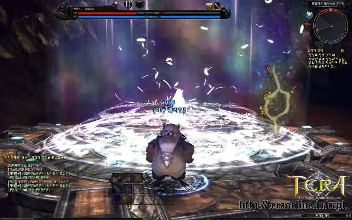 Локации TERA с ЗБТ 3 в Корее